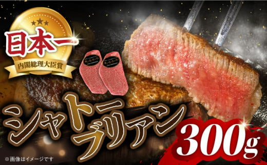 シャトーブリアン ステーキ 長崎和牛 約300g （2枚） 和牛 国産 しゃとーぶりあん ヒレ ひれ 焼肉 ステーキ 和牛 国産 焼肉 ステーキ シャトーブリアン ヒレ ひれ 希少部位 しゃとーぶりあん 肉 和牛 シャトーブリアン 牛肉 長崎和牛 焼肉 BBQ バーベキュー＜株式会社 黒牛＞ [CBA014]