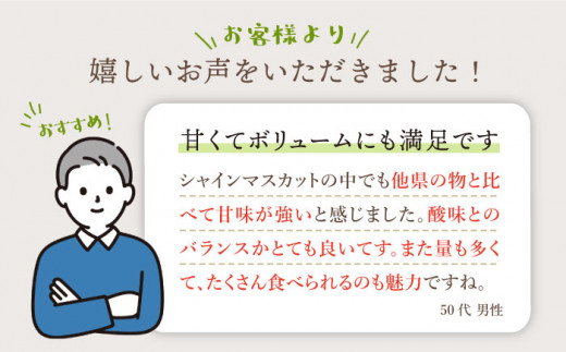 【2021年度ランキング1位獲得！】【数量限定】 【訳あり】とにかく甘い！シャインマスカット約2kg（4房～6房）＜岡本ぶどう園＞ [CEN012]