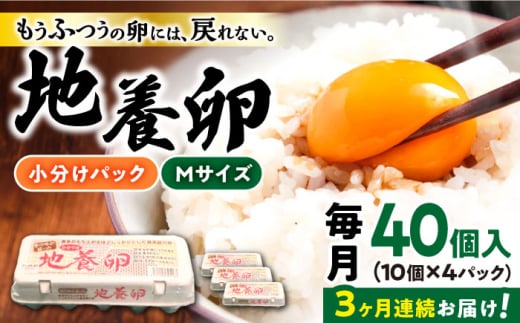 【3回定期便】最高級 卵 地養卵 Mサイズ 40個×3回定期便 長崎県産 西海市 たまご 卵 玉子 タマゴ 鶏卵 オムレツ 卵かけご飯 朝食 料理 人気 卵焼き＜垣山養鶏園＞ [CBB018]