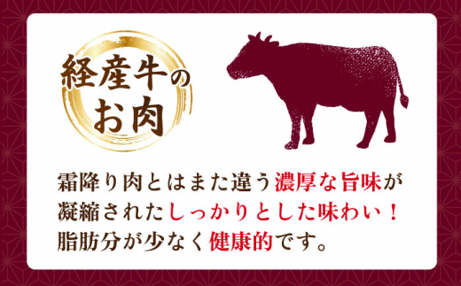 【3回定期便】 【すき焼き食べ放題！】 長崎県産黒毛和牛 肩ローススライス 500g ＜宮本畜産＞ [CFA043]