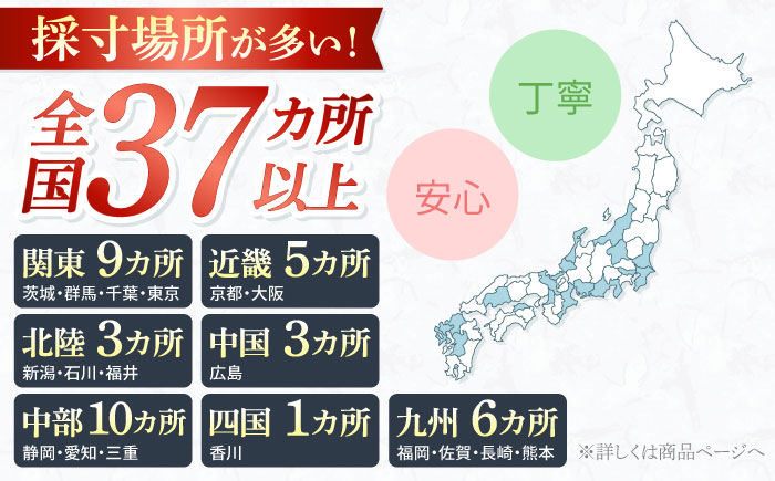 【御幸オリジナル生地】【全国30カ所以上で採寸可】【選べるオプション】イージーオーダー フォーマルスーツ お仕立券＜御幸毛織＞ [CAN022]  スーツ オーダースーツ 国産 スーツ お仕立券 御幸毛織