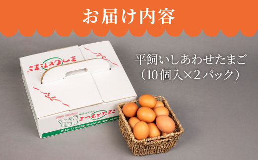 【月1回20個×3回 定期便 】 平飼い 「 しあわせ たまご 」計60個＜松本養鶏場＞ [CCD027]
