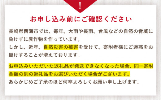 【先行予約】【数量限定】【 訳あり 】 ゆめのか 苺 約2kg （250g×4パック×2箱）＜川原農園＞ [CDR005]