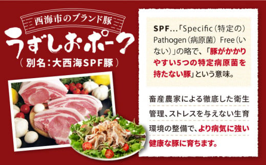 【 訳あり 】【6回 定期便 】長崎うずしおポーク 焼肉 ＆ しゃぶしゃぶ セット 1.4kg  豚肉 豚 焼き肉用 焼肉用 しゃぶしゃぶ 豚スライス ロース バラ ＜スーパーウエスト＞ [CAG096]