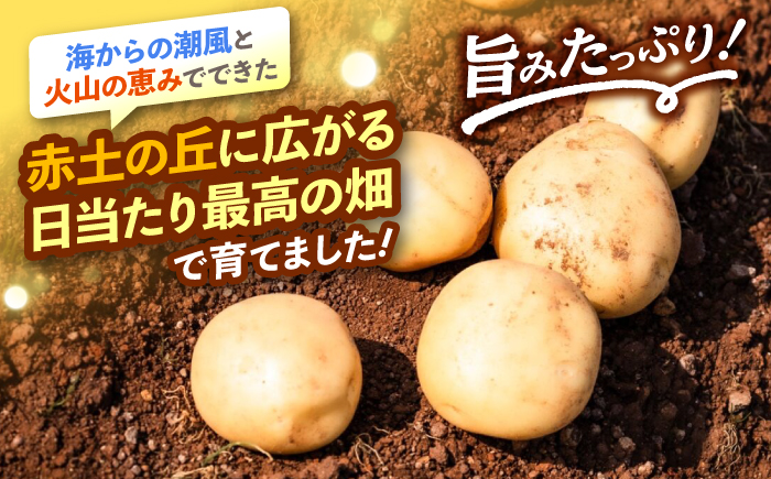 勝田農園のおまかせじゃがいも約5kg（種類・サイズ混合）＜勝田農園＞ [CGM003]