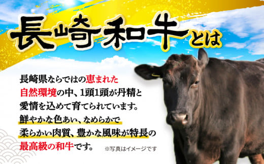 【訳あり】【月1回約500g×12回定期便】長崎和牛 肩ロース（すき焼き用）計6kg＜大西海ファーム＞ [CEK107]