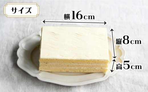 【12回定期便】【ブーム再来！あの頃を思い出す味】 特選 バターケーキ 2個 ＜お菓子のいわした＞ [CAM055]