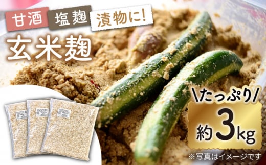  農薬不使用 玄米麹 （乾燥米麹） 九州産 約3kg〈川添酢造有限会社〉 [CDN062]