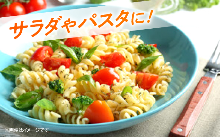 ミニトマト 計1kg（小分け6パック）＜ファゼンダ坂本＞ [CGP001]