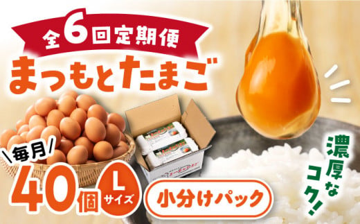 【月1回40個×6回 定期便 】家族のために選びたい「 まつもとたまご 」計240個＜松本養鶏場＞[CCD003] 