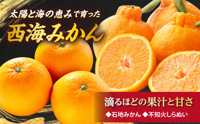 【6回定期便】 お肉 と 果物 〜見つけた！ 西海 の宝物 定期便 〜 [CZZ018]   長崎県 西海市 長崎和牛 サーロイン さーろいん ステーキ SPF豚 ブランド豚 こま切れ みかん ミカン 不知火 人気 定期便 