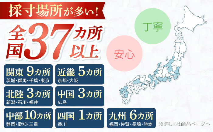 【御幸オリジナル生地】【全国30カ所以上で採寸可】【選べるオプション】特別仕立てイージーオーダースーツお仕立券＜御幸毛織＞ [CAN023]  スーツ オーダースーツ 国産 スーツ お仕立券 御幸毛織 