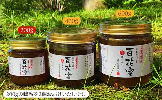 【数量限定】天然蜂蜜｢百花蜜｣ 計400g（200g×2個）《お試し便》＜高岸農園＞ [CCH001]