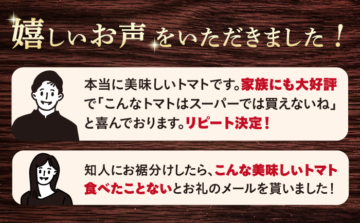 今シーズンお届け☆ 糖度8度以上！ 大島トマト 約3kg ＜大島造船所 農産グループ＞ [CCK005] 長崎 西海 トマト とまと 大島トマト 高糖度 贈答 トマト