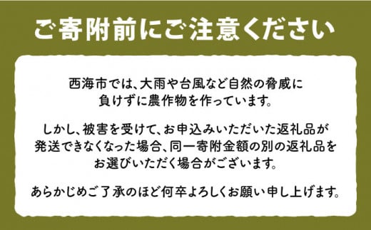 【先行予約☆数量限定】 令和6年産 新米 白米 （ なつほのか or ヒノヒカリ ） 10kg （5kg×2袋） 白米 米 ひのひかり なつほのか 10kg ＜夢農園 モリピー＞ [CEJ002]