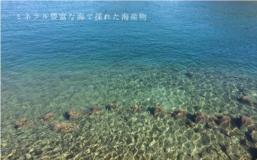 【5つの幸をお届け】海と山の幸セット（塩わかめ、乾燥ひじき、乾燥あおさ、干し大根、かんころもち）＜西海クリエイティブカンパニー＞ [CAA076]