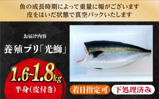 ブリ 【着日指定可】 魚 ブロック 刺身 「光鰤」半身 約1.6～1.8kg  西海市産 魚 ブロック 刺身 ブリ ぶり ブリしゃぶ ＜小山水産＞ [CDZ005]