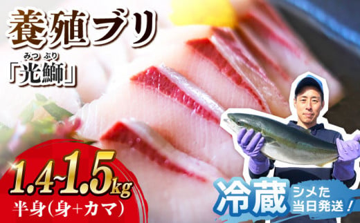 ブリ 【着日指定可】刺身 ブロック 「光鰤」半身 1.4〜1.5kg 西海市産 魚 ブロック 刺身 ブリ ぶり ブリしゃぶ 鰤 ブリ ＜小山水産＞ [CDZ001]