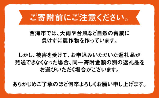 【先行予約☆限定10箱】津之望（つののぞみ）約5kg＜原口果樹園＞ [CCW009]