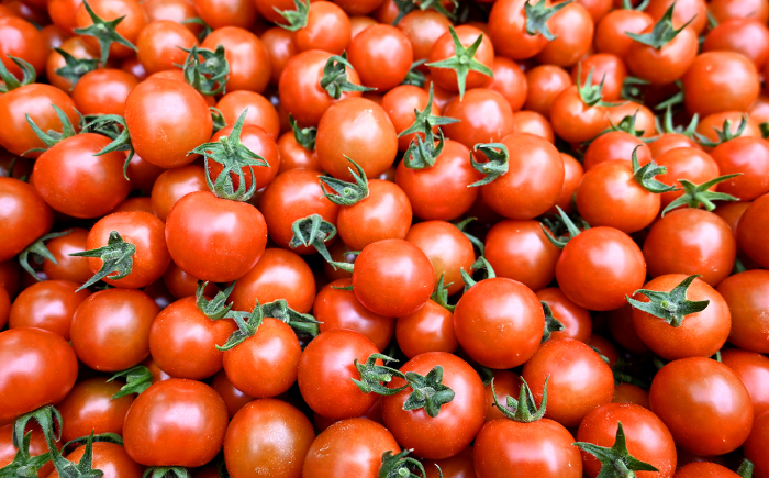 ミニトマト 計1kg（小分け6パック）＜ファゼンダ坂本＞ [CGP001]