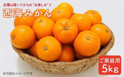 【先行予約】【品種はおまかせあれ♪】ご家庭用みかん約5kg＜かわはら＞ [CAD003]