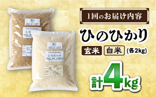 【12回定期便】 ひのひかり 白米 ＆ 玄米 計4kg（各2kg）＜ハマソウファーム＞ [CBR032]