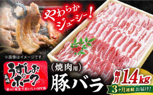 【訳あり】【3回 定期便 】 焼肉用 長崎うずしおポーク 豚バラ（ 焼肉 用）1.4kg 長崎 豚 豚肉 焼き肉 バラ BBQ ブランド豚＜スーパーウエスト＞ [CAG113]