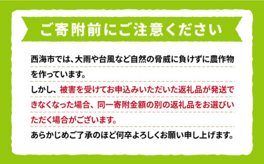 【2021年度ランキング1位獲得！】【数量限定】 【訳あり】とにかく甘い！シャインマスカット約2kg（4房～6房）＜岡本ぶどう園＞ [CEN012]