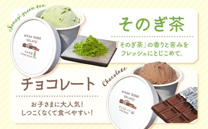 【年中人気】【12回定期便】 おまかせジェラート  8個 ＜みかんドーム＞ [CAI033]