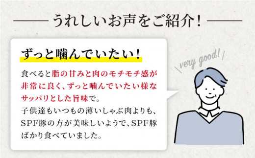 【訳あり】【いつもの鍋がグレードアップ】大西海SPF豚 肩ロース（しゃぶしゃぶ用）計1.3kg（650g×2パック）＜大西海ファーム＞ [CEK036]