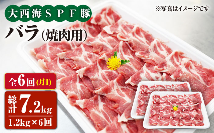 【月1回1.2kg×6回定期便】大西海SPF豚 バラ（焼肉用）計7.2kg＜大西海ファーム [CEK083]