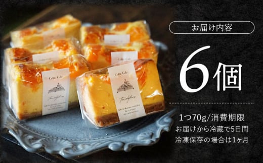 ケーキ みかん 【☆先行予約☆】西海みかん の チーズケーキ 6個 スイーツ お菓子 ケーキ チーズケーキ みかん 西海みかん ケーキ 贈り物 贈答 おしゃれ ケーキ みかん ＜自然と暮らす　ぐりーん＞ [CEM007]