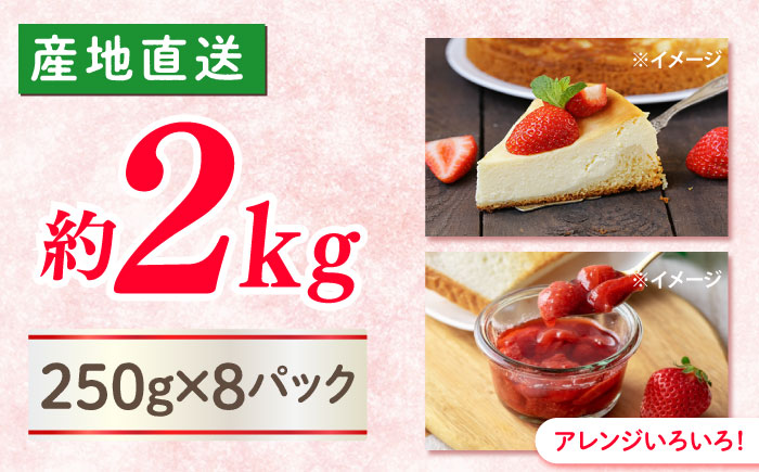 【大玉色鮮やか！】西海市産いちご「おおきみ」2kg（250g×8パック）＜武藤農園＞ [CFV005]