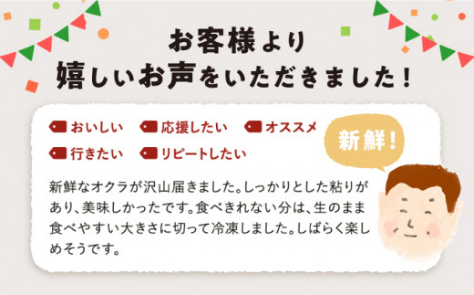 オクラ 約 2kg おくら オクラ 野菜 夏野菜 新鮮 やさい おくら 贈答 ＜パッパラパー農園＞ [CFI004]