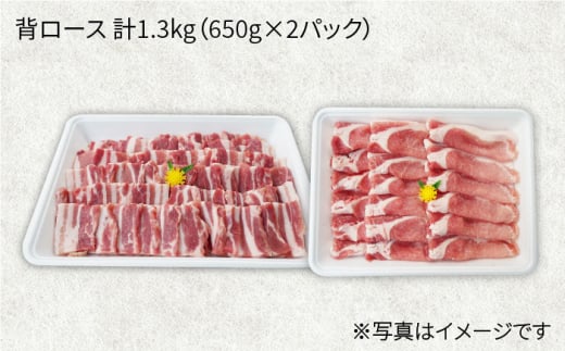 【訳あり】【月1回約1.3kg×12回定期便】大西海SPF豚 背ロース（焼肉＆しゃぶしゃぶ用）計15.6kg＜大西海ファーム＞ [CEK129]