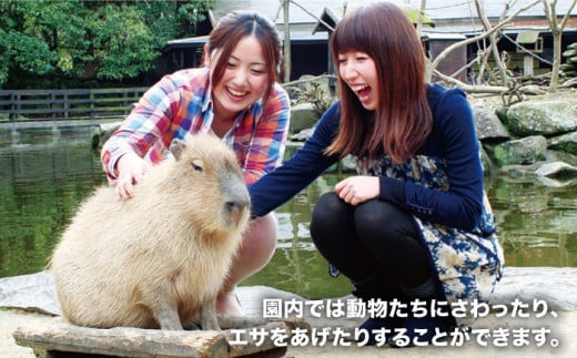 Zooっと近くにふれあえる動植物園の入園券＆商品券＜長崎バイオパーク＞ [CAB001]