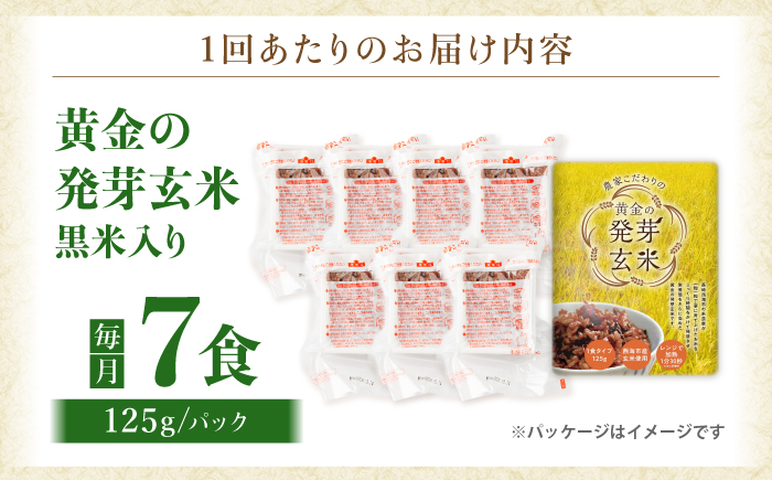【3回定期便】【農家のこだわり米】黄金の発芽玄米 黒米入り 125g×7食＜AgriBaseさいかい＞ [CGV003]