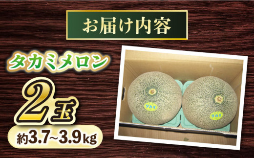 タカミ メロン 【先行予約】 2玉 (合計約3.7kg～3.9kg) メロン めろん 果物 フルーツ 長崎 西海市 贈答 ギフト ＜白石農園＞ [CBI001]