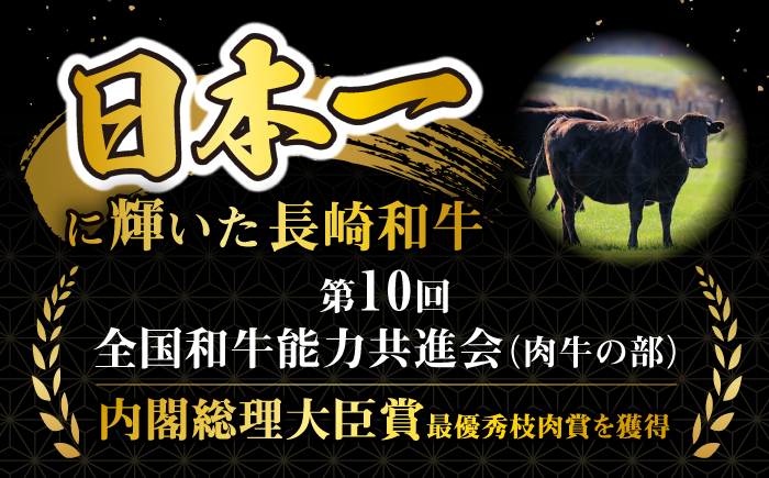 【3回定期便】長崎和牛 ヒレステーキ 計300g（2〜3枚）×3回定期便＜大西海ファーム＞ [CEK138] 牛肉 ヒレ ステーキ すてーき ひれ ヒレ ステーキ すてーき ヒレ肉 牛肉