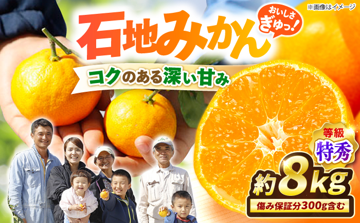【12月上旬より配送☆特秀品】石地みかん 約8kg（傷み保証分300g含む）＜川添みかん園＞ [CCT008] みかん