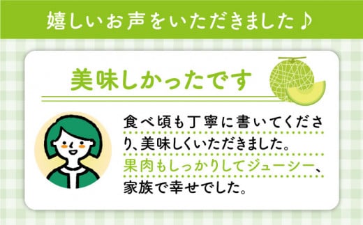 【先行予約☆1本の樹から1玉だけ】大島メロン「ミラノ」1玉（1.6～2.4kg）【化粧箱入】＜大島造船所 農産グループ＞ [CCK020]