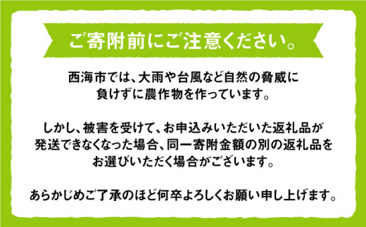 【数量限定】【訳あり】ロザリオビアンコ約2kg（4房～6房）＜岡本ぶどう園＞ [CEN002]