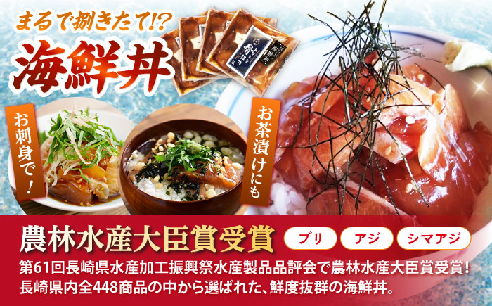 【3回定期便】海の幸〜見つけた！西海の宝物 定期便 〜 [CZZ026]  長崎 西海 魚 海の幸 海鮮 加工品 うなぎ 海鮮丼 贈答 ギフト