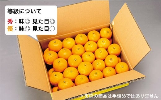 【先行予約☆限定100箱】【訳あり】西海1号（温州 みかん ）約 5kg（優品/Sサイズ）＜西海柑橘農業協同組合＞ [CCF004]