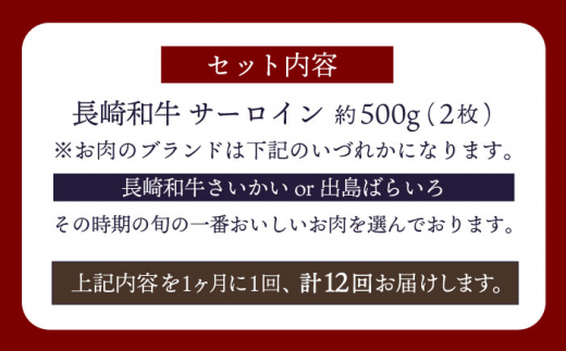 【訳あり】【12回定期便】 長崎和牛 サーロイン ステーキ 約500g（2枚） 【大西海ファーム食肉加工センター】 [CEK181]