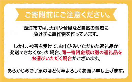 【数量限定】【訳あり】はるか 約5kg＜中尾果樹園＞ [CEL004]