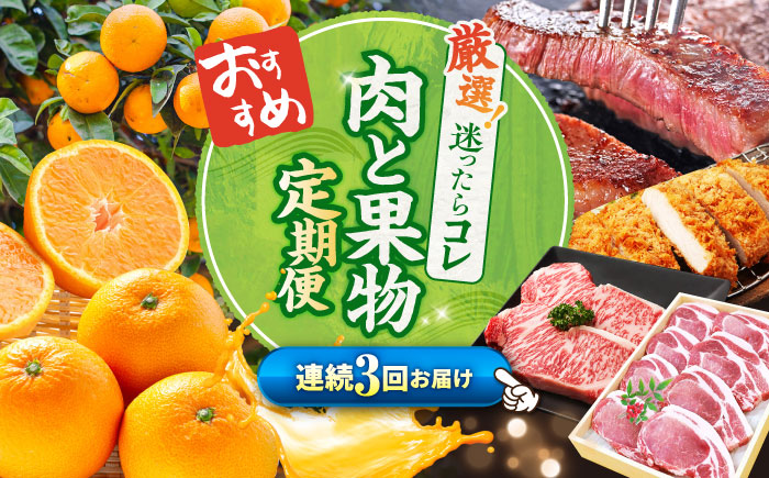 【1月発送開始】【3回 定期便 】 お肉 と 果物 〜見つけた！西海の宝物 定期便 〜 [CZZ017] 長崎県 西海市 長崎和牛 サーロイン さーろいん ステーキ みかん SPF豚 ブランド豚 サーロイン みかん 