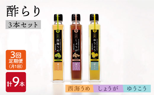 【月1回3種×3回定期便】 飲む玄米酢 酢らり （うめ・ゆうこう・しょうが）計9本＜川添酢造＞ [CDN014]