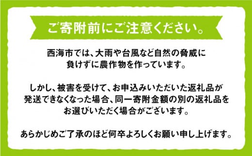 【先行予約】【数量限定】【大粒でめっちゃ甘い！】小林さん家の伊豆錦2kg（3～4房）＜小林農園＞ [CEQ001]