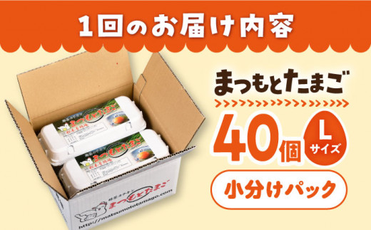 【12回 定期便 】まつもと たまご  40個 （ Lサイズ 10個×4パック） 長崎県産 西海市 たまご 卵 玉子 タマゴ 鶏卵 オムレツ 卵かけご飯 朝食 料理 人気 卵焼き ＜松本養鶏場＞[CCD004]